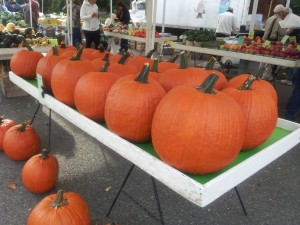 Row of pumpkins at Farmers' Market